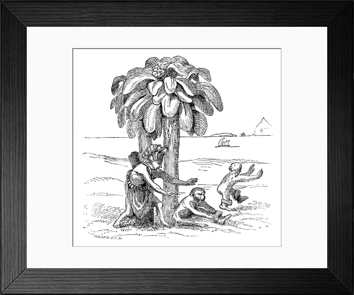 Framed Print : Apes on the banks of the Zaire, 1598, (1863). Creator: WH Wesley Framed Print : Apes on the banks of the Zaire, 1598, (1863). Creator: WH Wesley