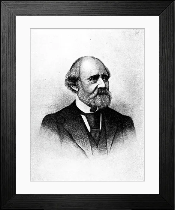 Framed Print : Portrait of Charles Reade, c1880. Creator: Unknown Framed Print : Portrait of Charles Reade, c1880. Creator: Unknown