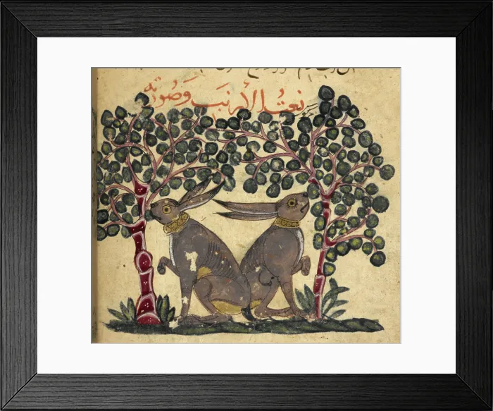Framed Print : Two hares eating berries, 13th century. Creator: Unknown Framed Print : Two hares eating berries, 13th century. Creator: Unknown