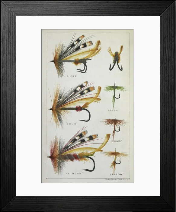 Framed Print : Fishing flies and hooks, 1875. Creator: Harry Cholmondeley Pennell Framed Print : Fishing flies and hooks, 1875. Creator: Harry Cholmondeley Pennell