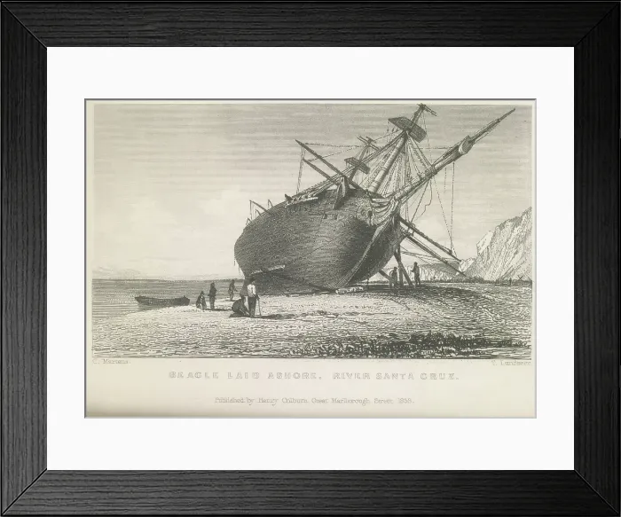 Framed Print : Beagle laid ashore, River Santa Cruz, 1834 (1839). Creator: Thomas Landseer Framed Print : Beagle laid ashore, River Santa Cruz, 1834 (1839). Creator: Thomas Landseer