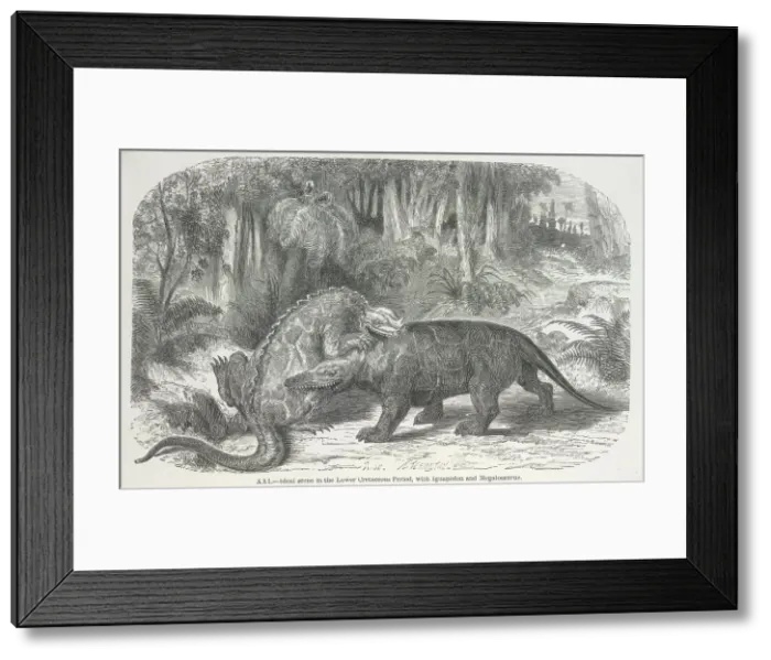 Framed Print : Ideal scene in the Lower Cretaceous period, with Iguanodon and Megalosaurus, 1865. Creator: Unknown. Ideal scene in the Lower Cretaceous period, with Iguanodon and Megalosaurus, 1865. Creator: Unknown Framed Print : Ideal scene in the Lower Cretaceous period, with Iguanodon and Megalosaurus, 1865. Creator: Unknown. Ideal scene in the Lower Cretaceous period, with Iguanodon and Megalosaurus, 1865. Creator: Unknown