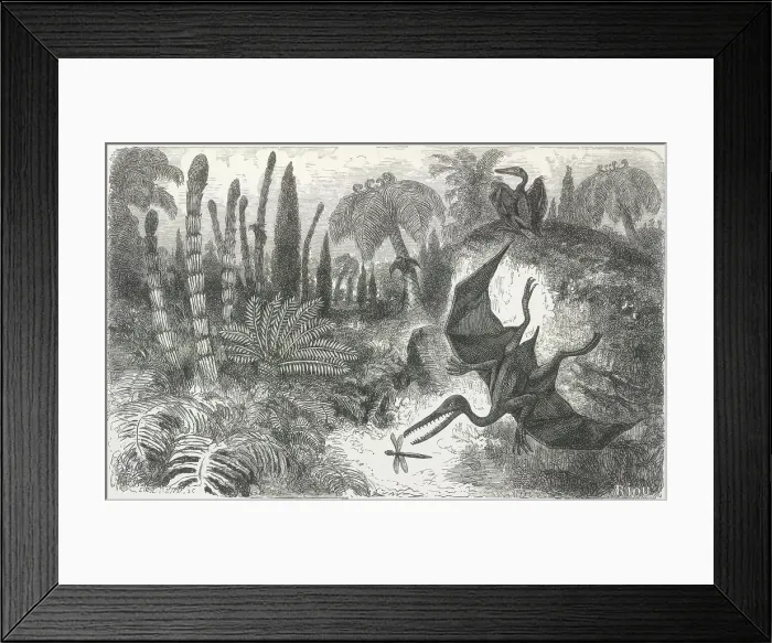 Framed Print : Imaginary Landscape during the Secondary Epoch, with Pterodactyls, Lias Period, 1865. Creator: Unknown. Imaginary Landscape during the Secondary Epoch, with Pterodactyls, Lias Period, 1865. Creator: Unknown Framed Print : Imaginary Landscape during the Secondary Epoch, with Pterodactyls, Lias Period, 1865. Creator: Unknown. Imaginary Landscape during the Secondary Epoch, with Pterodactyls, Lias Period, 1865. Creator: Unknown