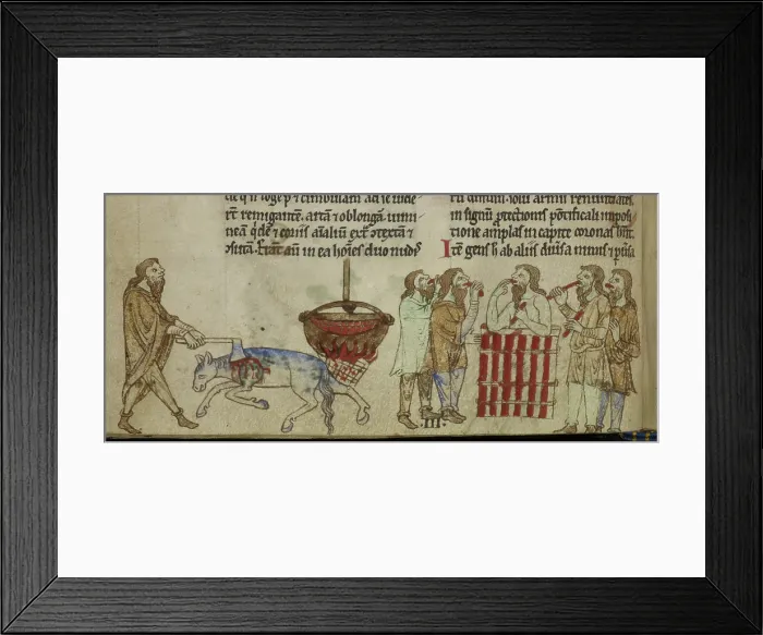 Framed Print : Irish kingship ritual, c1220. Creator: Unknown Framed Print : Irish kingship ritual, c1220. Creator: Unknown