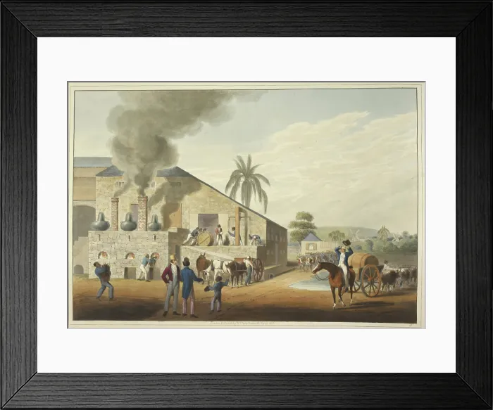 Framed Print : Curing-house and stills in Antigua, 1823. Creator: William Clark Framed Print : Curing-house and stills in Antigua, 1823. Creator: William Clark