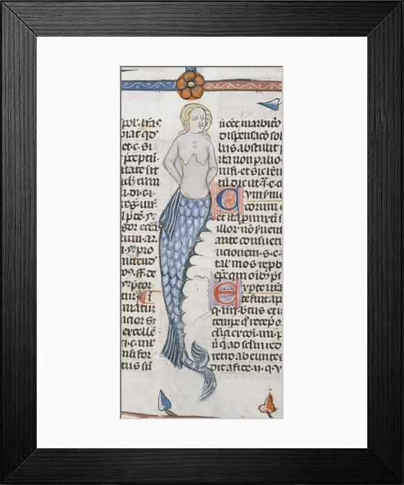 Framed Print : A mermaid, 1300-1340. Creator: Unknown Framed Print : A mermaid, 1300-1340. Creator: Unknown