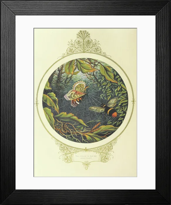 Framed Print : Then straight he flew like a valiant knight, 1870. Creator: A. F. L Framed Print : Then straight he flew like a valiant knight, 1870. Creator: A. F. L