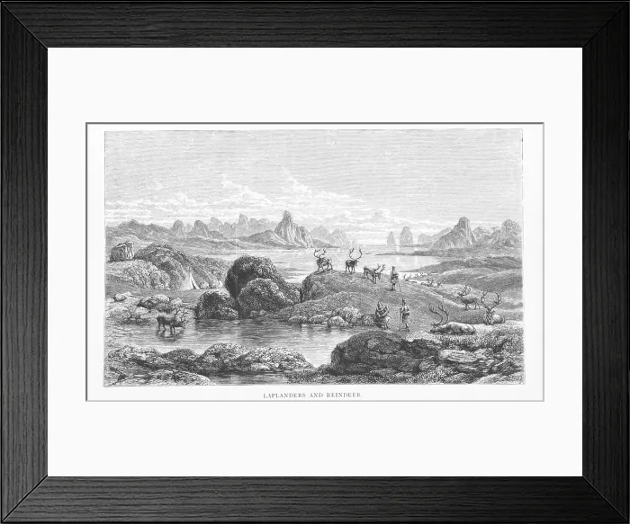 Framed Print : Laplanders and Reindeer, 1881. Creator: Pearson Framed Print : Laplanders and Reindeer, 1881. Creator: Pearson