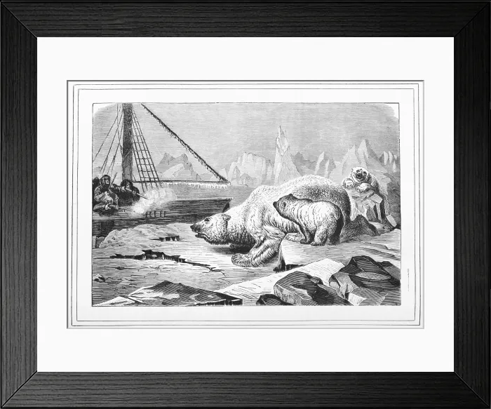 Framed Print : Shooting polar bears, 1880. Creator: Unknown Framed Print : Shooting polar bears, 1880. Creator: Unknown