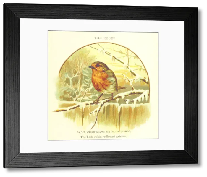 Framed Print : The Robin, 1893. Creator: Jessie Hall Framed Print : The Robin, 1893. Creator: Jessie Hall