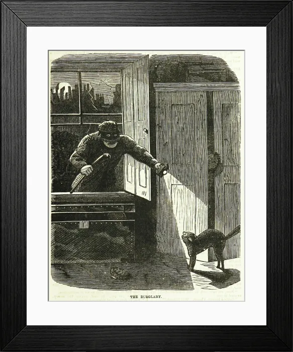 Framed Print : The Burglary, 1866. Creator: Unknown Framed Print : The Burglary, 1866. Creator: Unknown