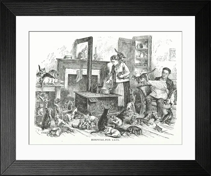 Framed Print : Hospital for cats, 1882. Creator: Unknown Framed Print : Hospital for cats, 1882. Creator: Unknown