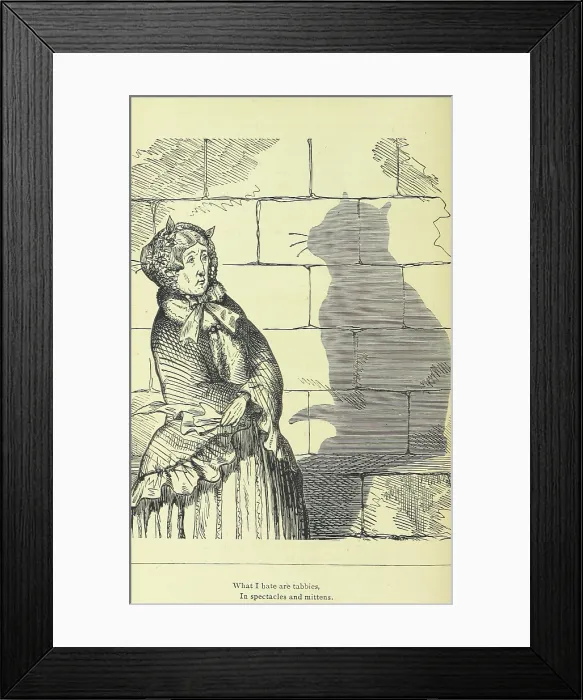 Framed Print : What I hate are tabbies, in spectacles and mittens, 1875. Creator: Unknown Framed Print : What I hate are tabbies, in spectacles and mittens, 1875. Creator: Unknown