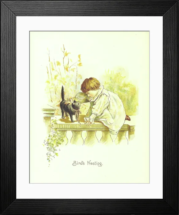 Framed Print : Bird's Nesting, 1892. Creator: Unknown. Bird's Nesting, 1892. Creator: Unknown Framed Print : Bird's Nesting, 1892. Creator: Unknown. Bird's Nesting, 1892. Creator: Unknown