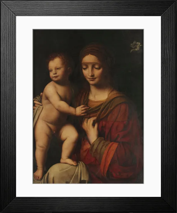 Framed Print : The Virgin and Child, c1510-1520. Creator: Luini, Bernardino (ca. 1480-1532) Framed Print : The Virgin and Child, c1510-1520. Creator: Luini, Bernardino (ca. 1480-1532)