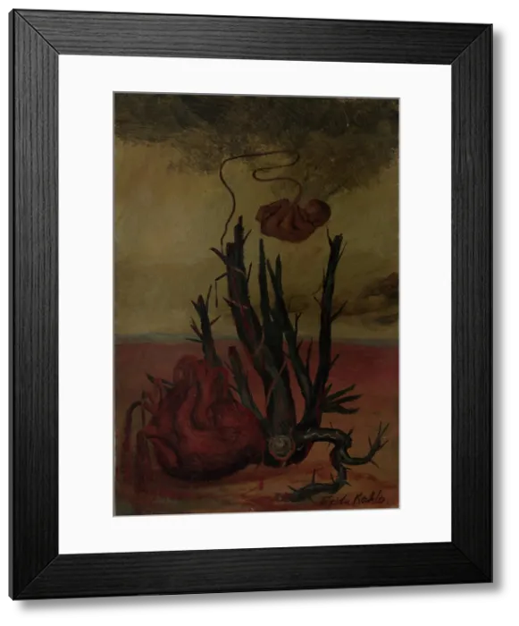Framed Print : Untitled (Heart, Cactus, Fetus). Creator: Kahlo, Frida (1907-1954) Framed Print : Untitled (Heart, Cactus, Fetus). Creator: Kahlo, Frida (1907-1954)