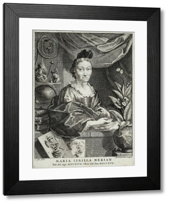 Framed Print : Portrait of Maria Sibylla Merian (1647-1717), 1717. Creator: Gsell, Georg (1673-1740) Framed Print : Portrait of Maria Sibylla Merian (1647-1717), 1717. Creator: Gsell, Georg (1673-1740)