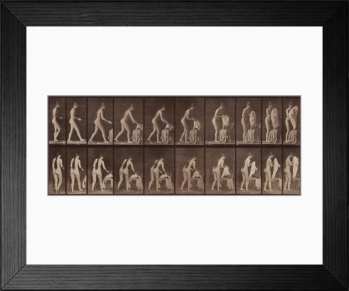 Framed Print : Animal Locomotion. Plate 415, 1887. Creator: Muybridge, Eadweard (1830-1904) Framed Print : Animal Locomotion. Plate 415, 1887. Creator: Muybridge, Eadweard (1830-1904)