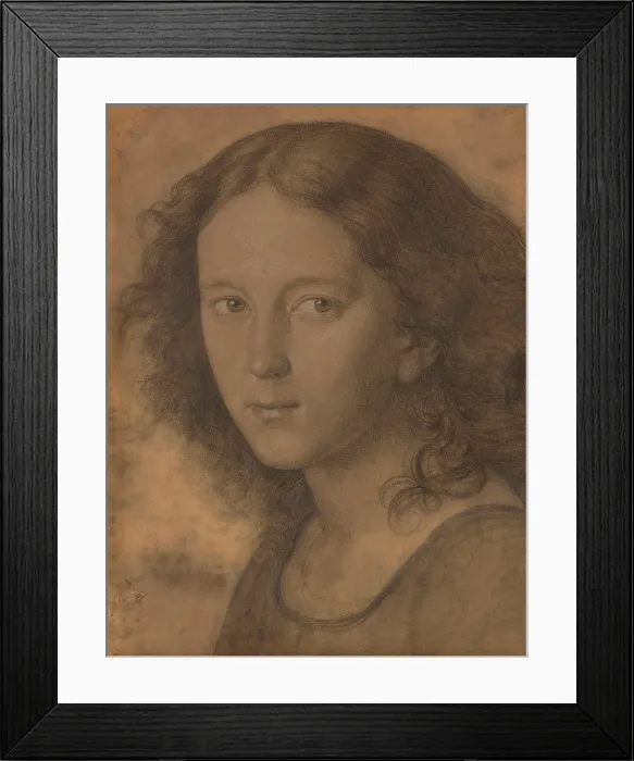 Framed Print : Felix Mendelssohn Bartholdy (1809-1847) at age 12, c1821. Creator: Begas, Carl Joseph (1794-1854) Framed Print : Felix Mendelssohn Bartholdy (1809-1847) at age 12, c1821. Creator: Begas, Carl Joseph (1794-1854)