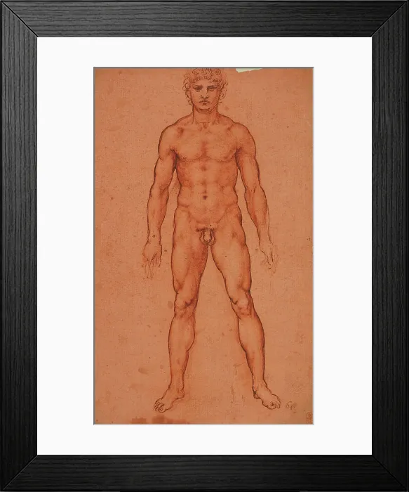 Framed Print : Standing male nude, 1503-1506. Creator: Leonardo da Vinci (1452-1519) Framed Print : Standing male nude, 1503-1506. Creator: Leonardo da Vinci (1452-1519)