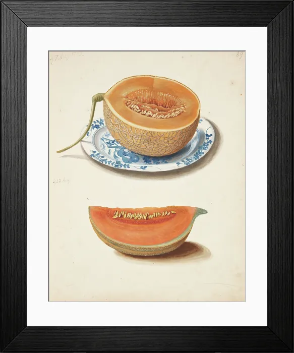 Framed Print : Study of two cantaloupes, 1755. Creator: Fosie, Johanna Marie (1726-1764) Framed Print : Study of two cantaloupes, 1755. Creator: Fosie, Johanna Marie (1726-1764)