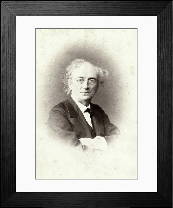 Framed Print : Portrait of the poet Fyodor Ivanovich Tyutchev (1803-1873), 1867. Creator: Levitsky, Sergei Lvovich (1819-1898) Framed Print : Portrait of the poet Fyodor Ivanovich Tyutchev (1803-1873), 1867. Creator: Levitsky, Sergei Lvovich (1819-1898)