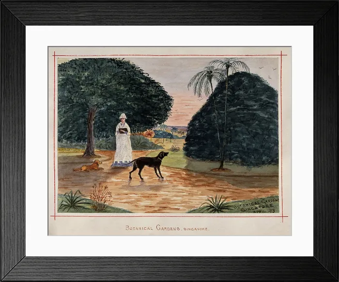 Framed Print : Singapore: a person with dogs in the Botanical Gardens, 1879. Creator: John Edmund Taylor Framed Print : Singapore: a person with dogs in the Botanical Gardens, 1879. Creator: John Edmund Taylor