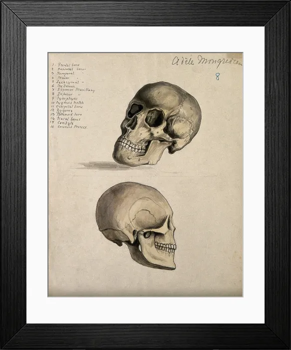 Framed Print : A skull: two figures, 1880. Creator: Adele Mongredien Framed Print : A skull: two figures, 1880. Creator: Adele Mongredien