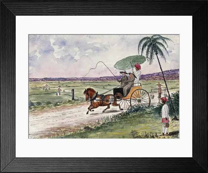 Framed Print : Malaya: a pony and trap being driven down a country road, 1879. Creator: John Edmund Taylor Framed Print : Malaya: a pony and trap being driven down a country road, 1879. Creator: John Edmund Taylor