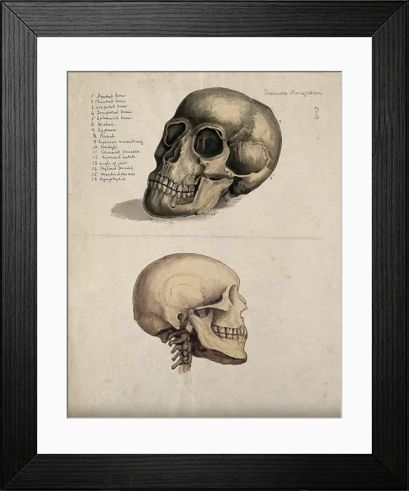 Framed Print : A skull: two figures, 1880. Creator: Jeannette Mongredien Framed Print : A skull: two figures, 1880. Creator: Jeannette Mongredien