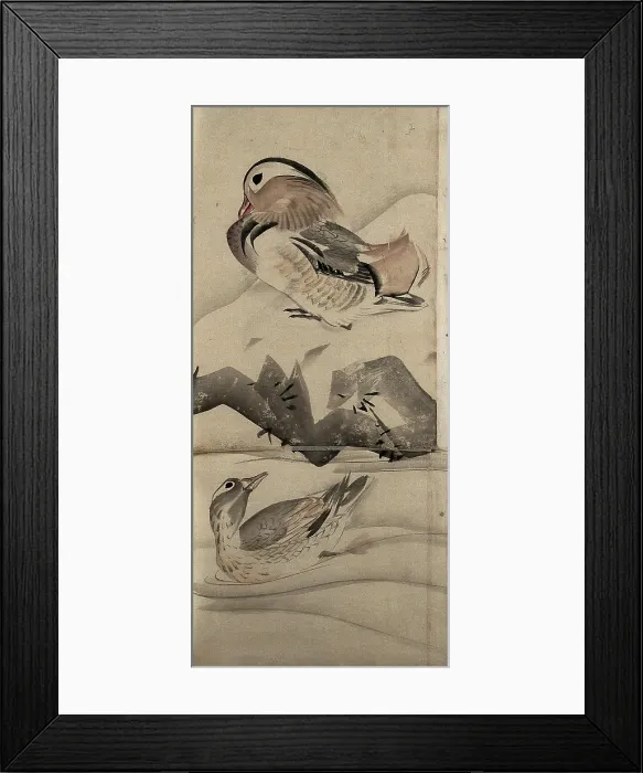 Framed Print : Two ducks in a landscape, (unknown date). Creator: Unknown Framed Print : Two ducks in a landscape, (unknown date). Creator: Unknown
