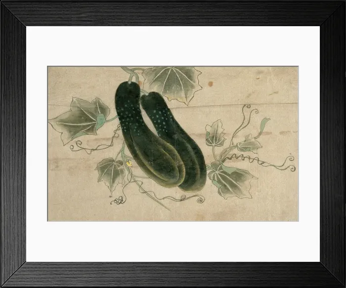 Framed Print : Two dill cucumbers, (unknown date). Creator: Unknown Framed Print : Two dill cucumbers, (unknown date). Creator: Unknown