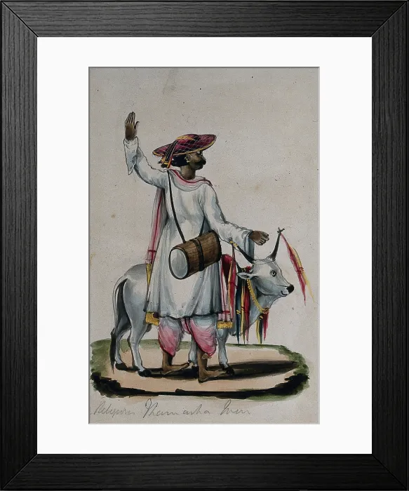 Framed Print : A religious man carrying a drum, standing next to a cow, (between 1800 and 1899?). Creator: Unknown Framed Print : A religious man carrying a drum, standing next to a cow, (between 1800 and 1899?). Creator: Unknown
