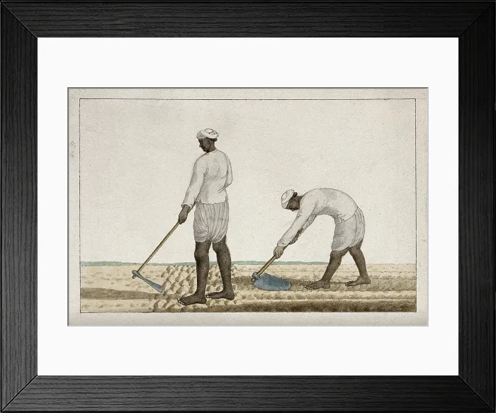 Framed Print : Two men digging the earth with spades, (between 1800 and 1899?). Creator: Unknown Framed Print : Two men digging the earth with spades, (between 1800 and 1899?). Creator: Unknown