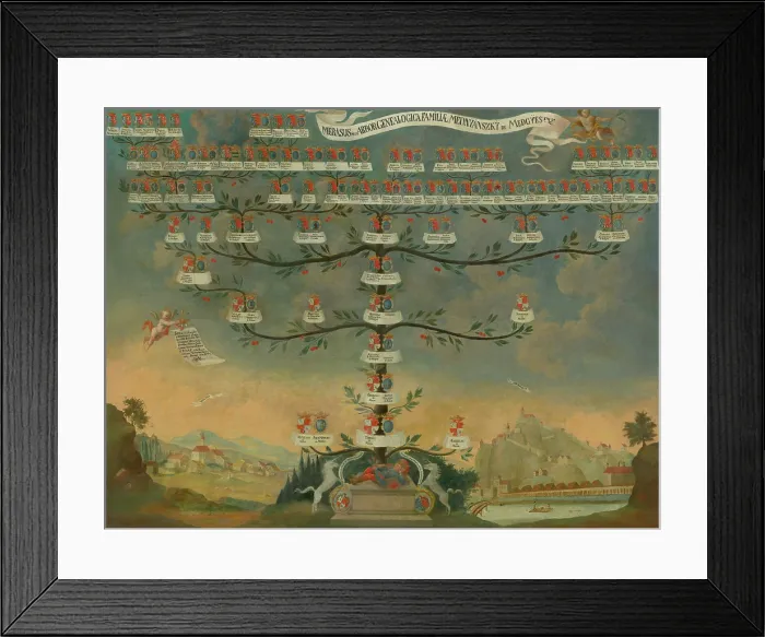 Framed Print : Mednyanszky Family Tree, 1744. Creator: Unknown Framed Print : Mednyanszky Family Tree, 1744. Creator: Unknown