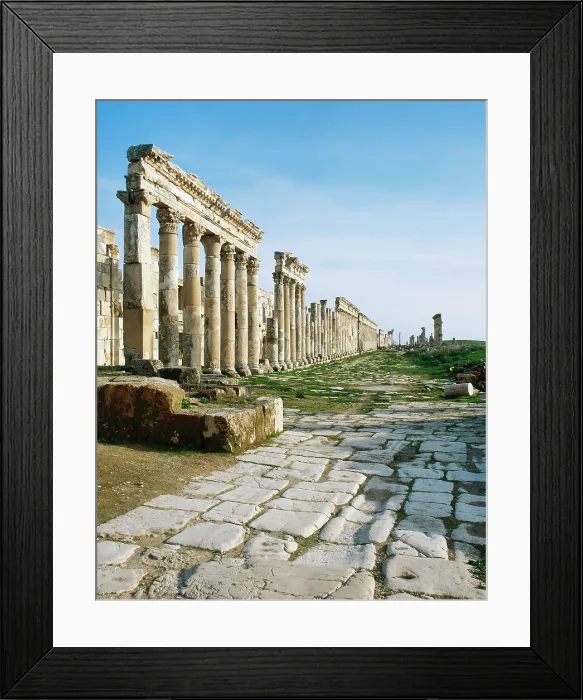 Framed Print : The Cardo Maximus, Apamea city, Syria, Roman, 2nd century, (2005). Creator: LTL Framed Print : The Cardo Maximus, Apamea city, Syria, Roman, 2nd century, (2005). Creator: LTL
