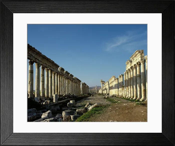 Framed Print : Great Colonnade and Cardo Maximus, Apamea, Syria, 2nd century, (2001). Creator: LTL