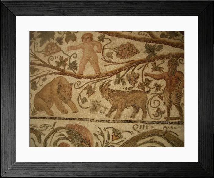 Framed Print : Mosaic, El Jem Museum, El Djem, Tunisia, 2009. Creator: Amanda Waite Framed Print : Mosaic, El Jem Museum, El Djem, Tunisia, 2009. Creator: Amanda Waite
