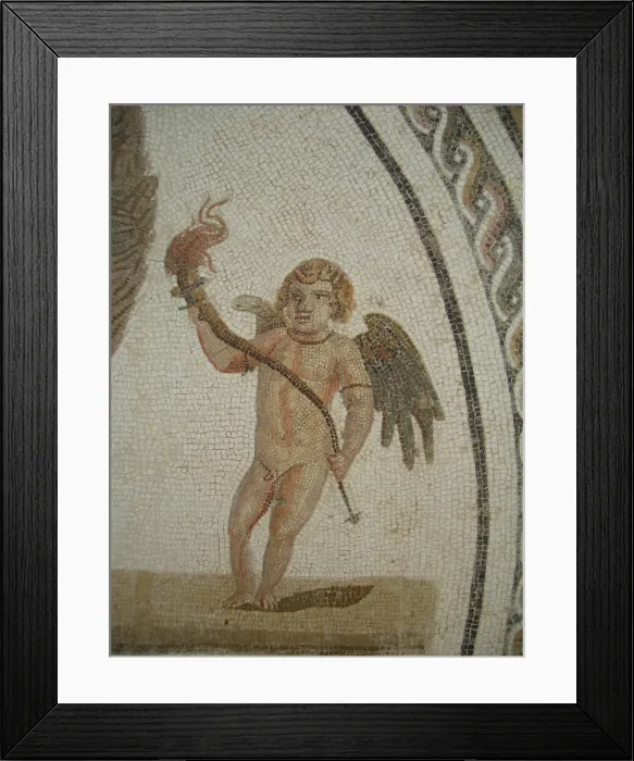 Framed Print : Mosaic, El Jem Museum, El Djem, Tunisia, 2009. Creator: Amanda Waite Framed Print : Mosaic, El Jem Museum, El Djem, Tunisia, 2009. Creator: Amanda Waite