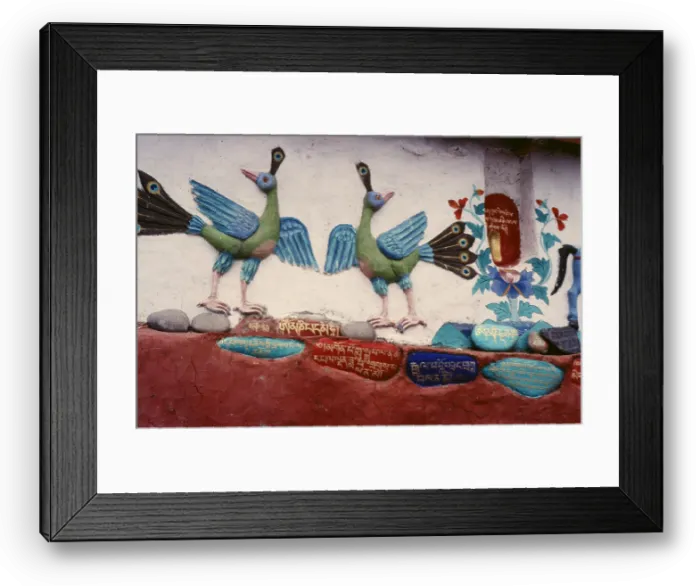 Framed Print : Painted relief of birds, Ladakh, India, 1988. Creator: Amanda Waite Framed Print : Painted relief of birds, Ladakh, India, 1988. Creator: Amanda Waite