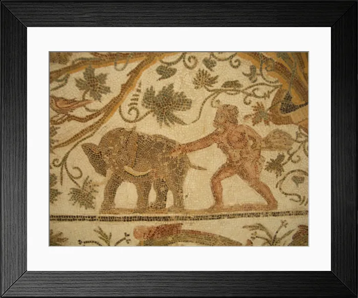 Framed Print : Mosaic, El Jem Museum, El Djem, Tunisia, 2009. Creator: Amanda Waite Framed Print : Mosaic, El Jem Museum, El Djem, Tunisia, 2009. Creator: Amanda Waite
