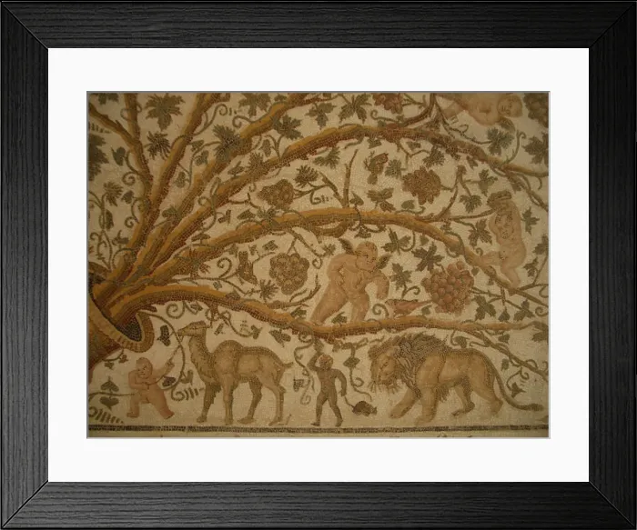 Framed Print : Mosaic, El Jem Museum, El Djem, Tunisia, 2009. Creator: Amanda Waite Framed Print : Mosaic, El Jem Museum, El Djem, Tunisia, 2009. Creator: Amanda Waite