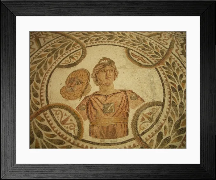 Framed Print : Mosaic, El Jem Museum, El Djem, Tunisia, 2009. Creator: Amanda Waite Framed Print : Mosaic, El Jem Museum, El Djem, Tunisia, 2009. Creator: Amanda Waite