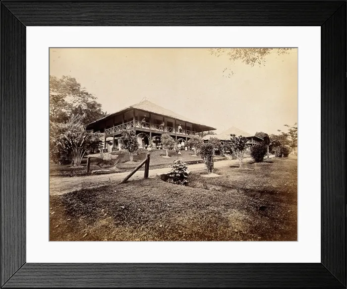 Framed Print : Singapore: a large bungalow for British officers with tropical plants in the garden, 1880. Creator: John Edmund Taylor Framed Print : Singapore: a large bungalow for British officers with tropical plants in the garden, 1880. Creator: John Edmund Taylor