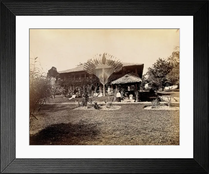 Framed Print : Singapore: a large bungalow with people having drinks in the garden around a large... 1881. Creator: John Edmund Taylor Framed Print : Singapore: a large bungalow with people having drinks in the garden around a large... 1881. Creator: John Edmund Taylor