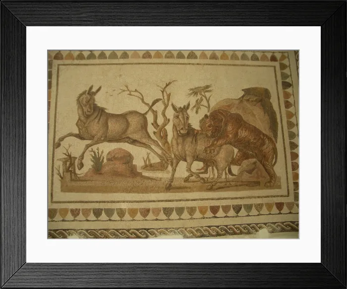 Framed Print : Mosaic, El Jem Museum, El Djem, Tunisia, 2009. Creator: Amanda Waite Framed Print : Mosaic, El Jem Museum, El Djem, Tunisia, 2009. Creator: Amanda Waite