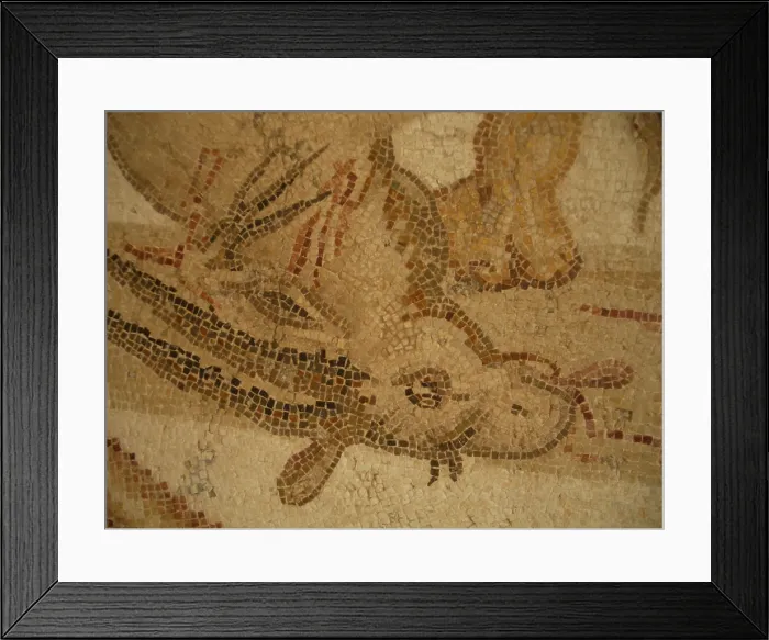 Framed Print : Mosaic, El Jem Museum, El Djem, Tunisia, 2009. Creator: Amanda Waite Framed Print : Mosaic, El Jem Museum, El Djem, Tunisia, 2009. Creator: Amanda Waite