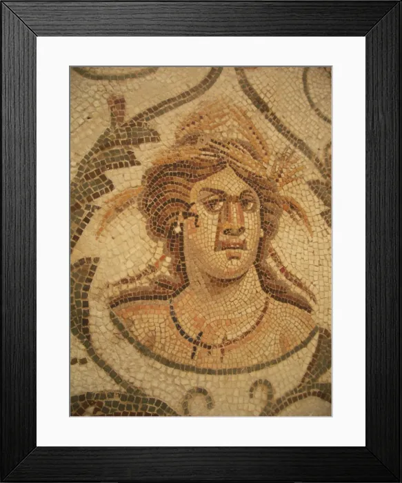 Framed Print : Mosaic, El Jem Museum, El Djem, Tunisia, 2009. Creator: Amanda Waite Framed Print : Mosaic, El Jem Museum, El Djem, Tunisia, 2009. Creator: Amanda Waite