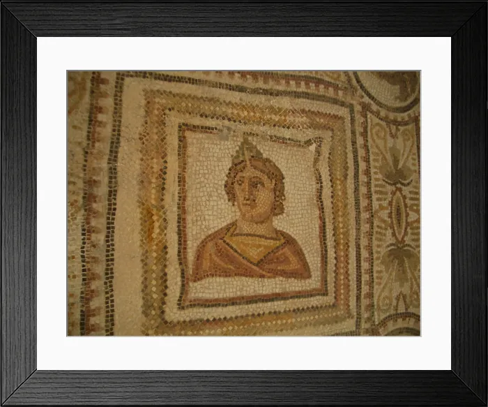 Framed Print : Mosaic, El Jem Museum, El Djem, Tunisia, 2009. Creator: Amanda Waite Framed Print : Mosaic, El Jem Museum, El Djem, Tunisia, 2009. Creator: Amanda Waite