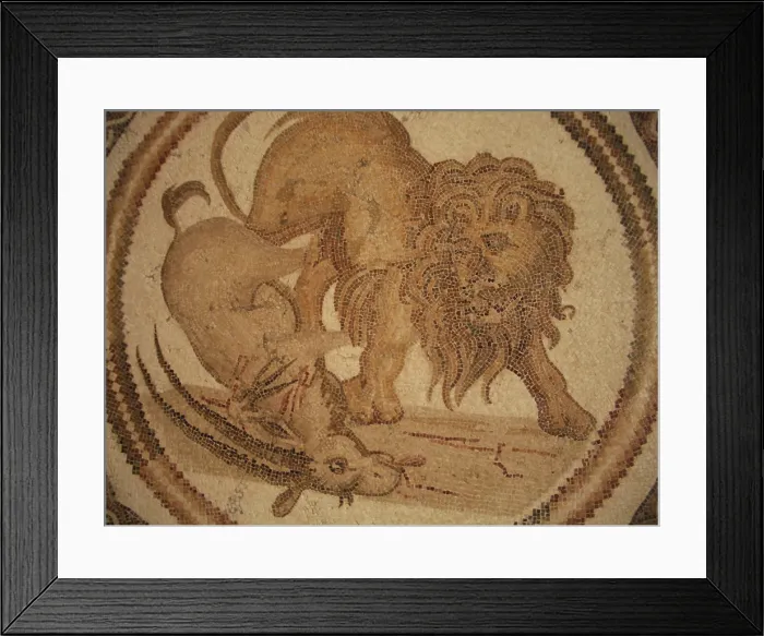 Framed Print : Mosaic, El Jem Museum, El Djem, Tunisia, 2009. Creator: Amanda Waite Framed Print : Mosaic, El Jem Museum, El Djem, Tunisia, 2009. Creator: Amanda Waite